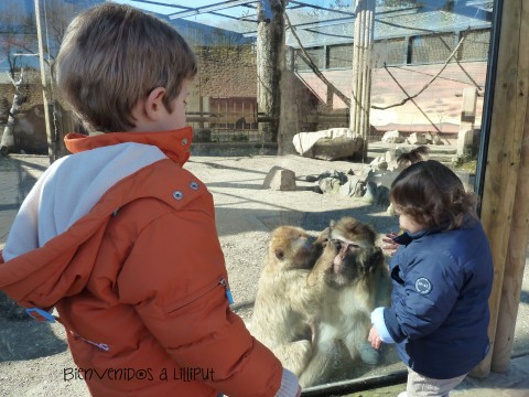 zoo de Córdoba