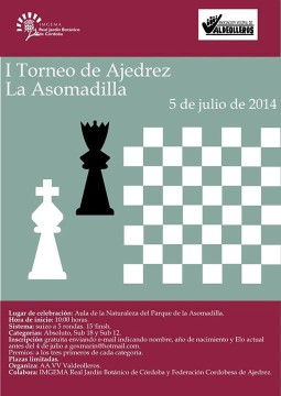 Torneo de Ajedrez Asomadilla