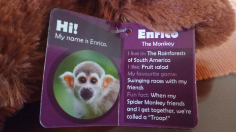 Enrico, The monkey